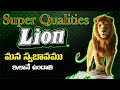 Power Of The Lion Attitude Telugu ATTITUDE అంటే ఇలా ఉండాలి LION MOTIVATION
