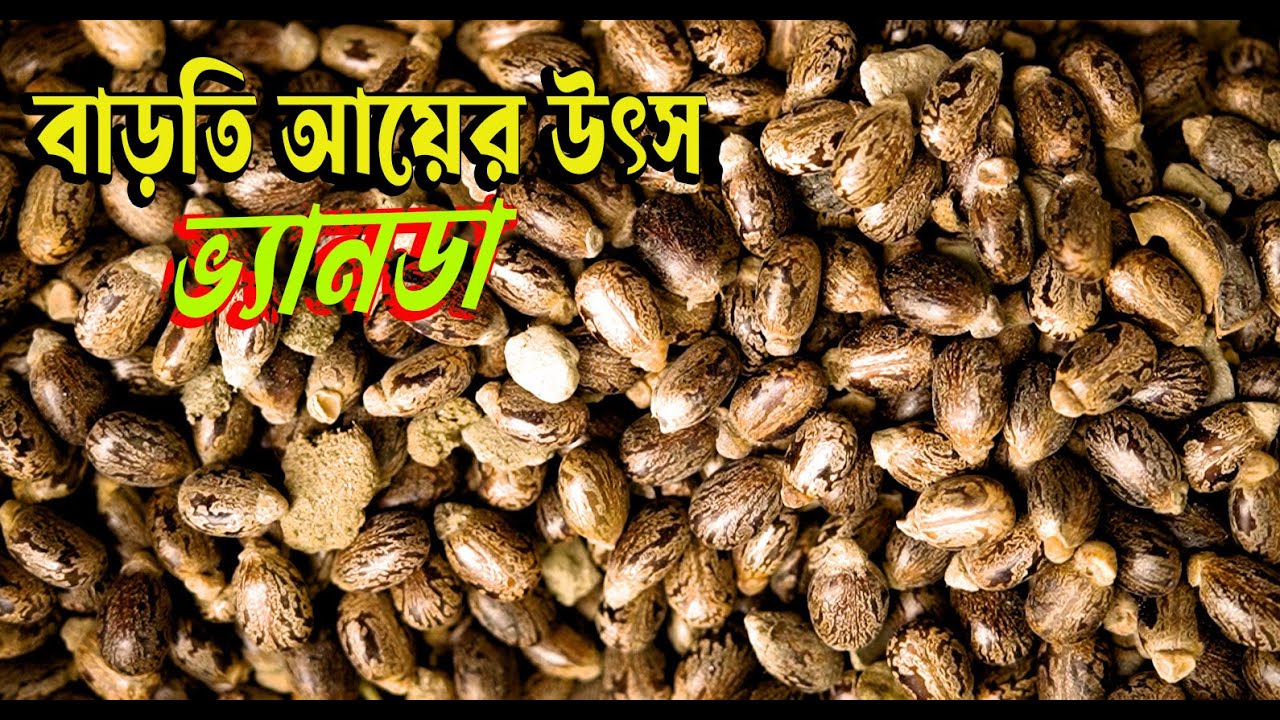 ভ্যানডা থেকে বাড়তি আয়