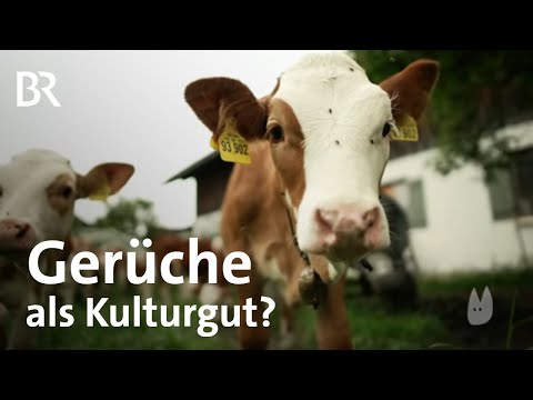 Kulturgut Sinneserbe: Hahnenschrei, Kirchenglocken, Mist | Capriccio | Kulturmagazin | BR