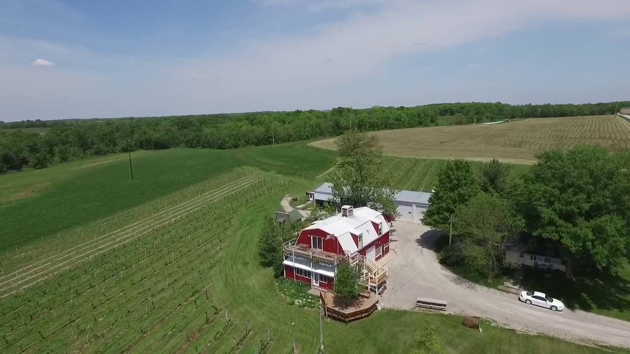 Cedar Valley Winery White and Red Dry Wines