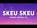 Wilsko Joggia 7ia Skeu Skeu Paroles Tiktok On Communique Dans Le Skeu Skeu