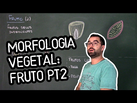 Fruit Organology (Morphology) pt2 - Class 21: Botany (Prof. Guilherme)
