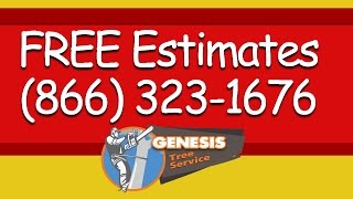 preview picture of video 'Tree Removal Service Bristow Virginia : Free Estimates'