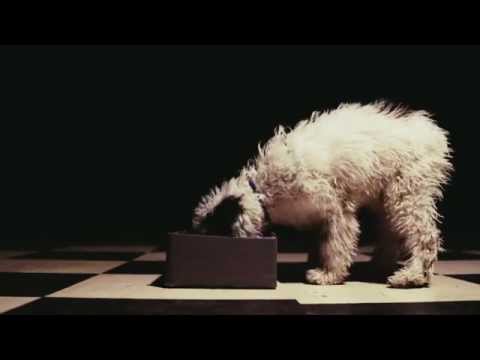 DJ Tuniziano & JWP/BC feat. Warszafski Deszcz - Dawaj Milion (prod. Sir Michu)