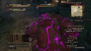 ドラゴンズドグマ　2人でエクストリーム編前半