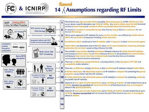 ICBE Flawed Assumptions short video Havas Oct 2022