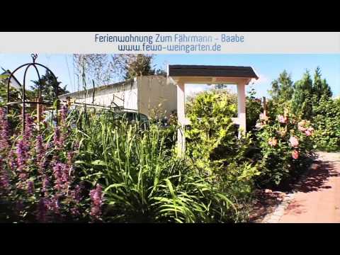 Zum Fährmann - Ferienwohnung Weingarten - in Baabe auf Rügen