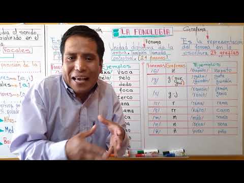 LA FONOLOGÍA