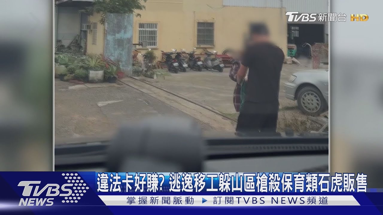 越南移工山區躲5年「射槍狩獵石虎」 宰殺保育類動物網售牟利