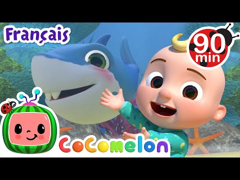 Bébé requin | Chansons pour Bébés | CoComelon Le coin des Animaux de JJ - Comptines