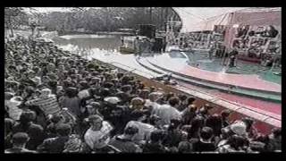 ENGENHEIROS DO HAWAII   MUROS E GRADES