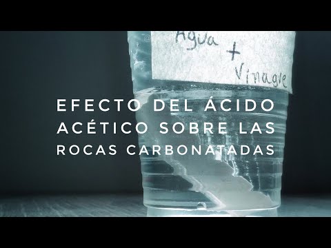 Efecto del ácido acético sobre las rocas carbonatadas.