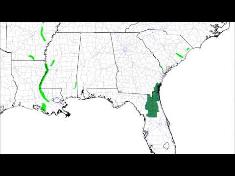 Saturday, June 13th, 2020 Weather Xtreme Video