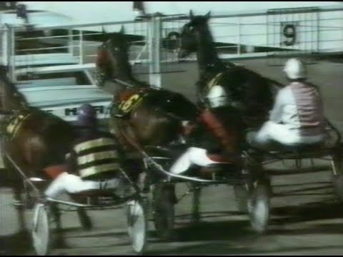 Harness Racing-1987 (The Horse In Sport)