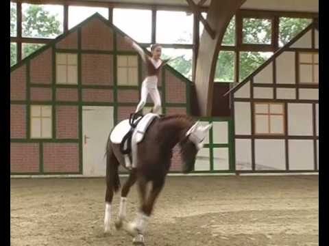 CVI** Krumke 2010 - Juniorteam Bad Friedrichshall (Pflicht)