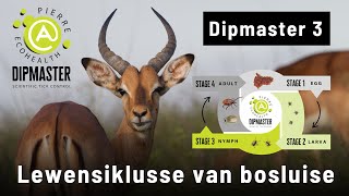 Dipmaster 3: Lewensiklusse van bosluise