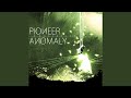 Pioneer Anomaly