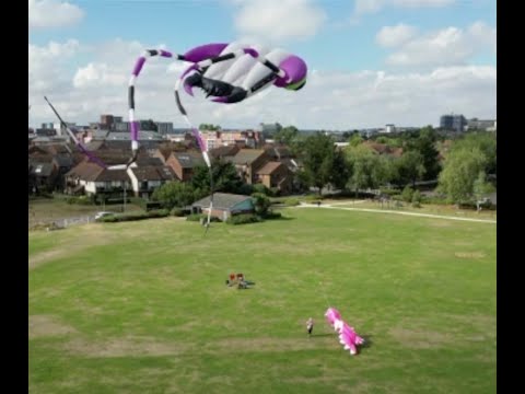 Baiter Park Aug 25th 2022