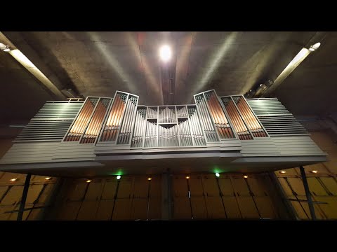PIPE ORGAN of Basilica of St. Pius X (Lourdes - FRANCE)