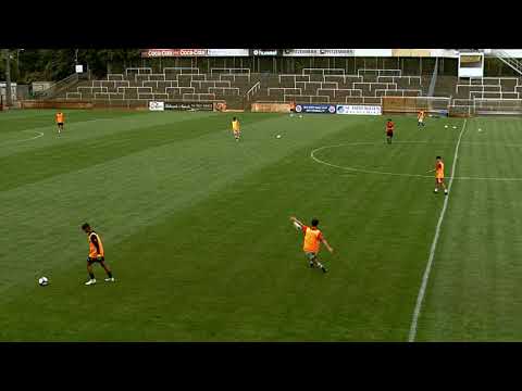 Fieldoo Team - VFR Mannheim