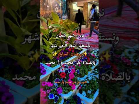 اللهم صل على محمد وآل محمد الطيبين الطاهرين وعجل فرجهم ياكريم يارب العالمين