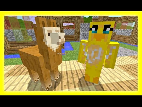 Feather Adventures : Llamansion - {232}