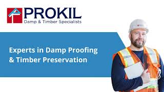 Prokil Epsom Case Study: Damp patches caused by rising damp