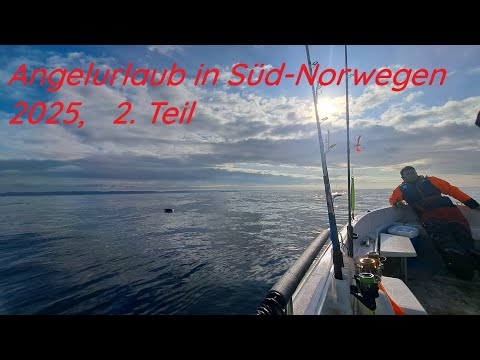 Angelurlaub Südnorwegen 2. Teil