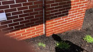 Watch video: Exterior of Office Infested with Boxelder Bugs in Wall Township, NJ