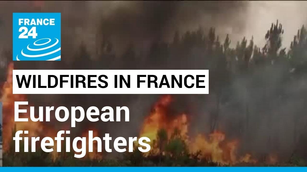 France: European firefighters join battle to stop wildfires • FRANCE 24 English