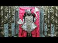 Tara Swarup Nyara Nyara Jay Dwarkadhish