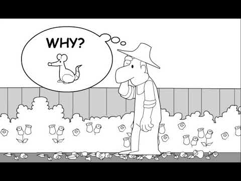 Finding Root Cause with 5 WHYs