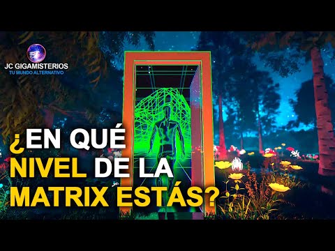 Los 7 NIVELES de CONSCIENCIA de la MATRIX