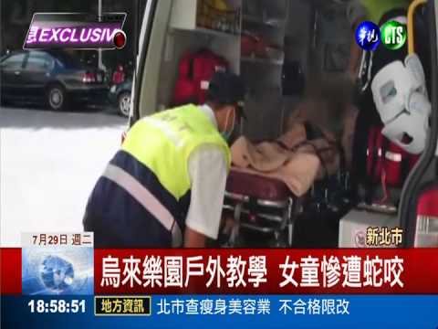 遊樂園毒蛇出沒 龜殼花狠咬9歲女