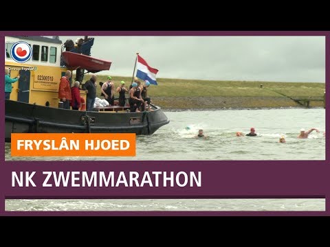 REPO: Zwemmers steken het IJsselmeer over voor NK zwemmarathon