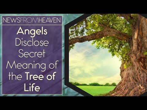Angels Disclose Secret Meaning of the Tree of Life - News From Heaven