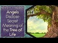 Angels Disclose Secret Meaning of the Tree of Life - News From Heaven