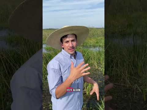 San Miguel Corrientes, Esteros del íbera.