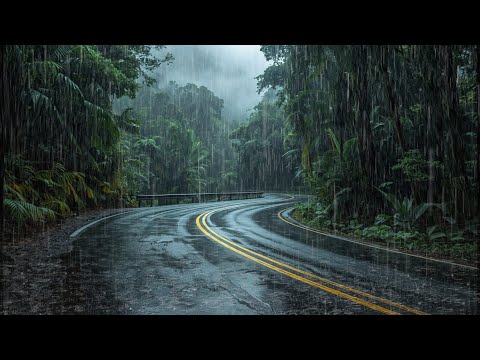 [4K ASMR] Peaceful Rain Walk in Forest Road | Relax Mind, Relieve Stress & Fall Asleep Fast