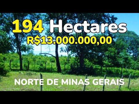 Fazenda a venda 194 hectares em Guarará MG