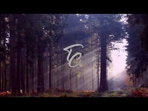 TrapCountry & ARBEAST - Nature