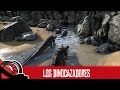 LOS DINOCAZADORES Ark Survival Evolved Streaming