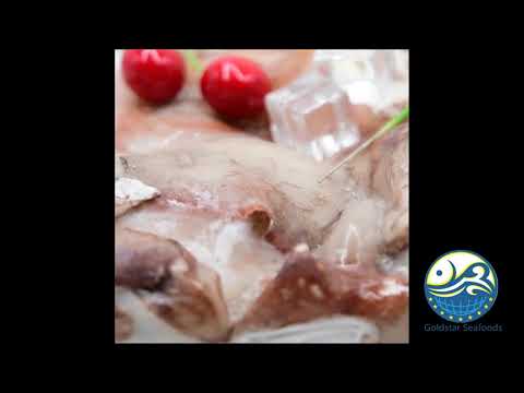 Giant Squid Neck Indian Squid Neck Peru Squid Neck For Market|Goldstar Seafoods