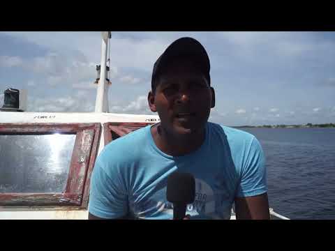 Inician captura de la cojinúa en el norte de #LasTunas