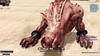 피오나 아인라허 라이노토스 노피격 금메달 플레이