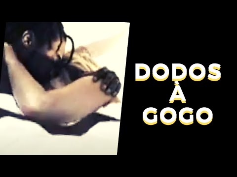 Dodos à Gogo!