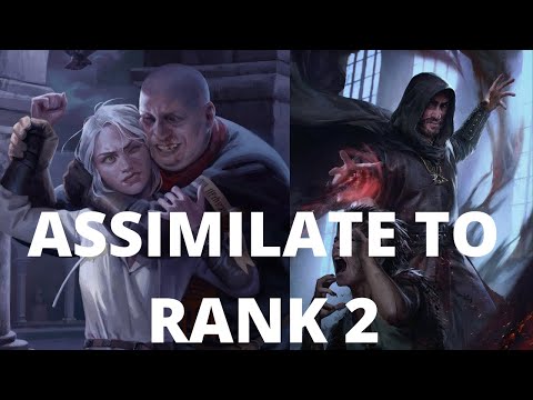 Beginners Deck Guide | Nilfgaard Assimilate