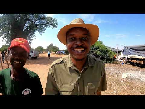 Goat Buying in Takaliawa, Gwanda, Zimbabwe: Navigating the Market, Police & Health System