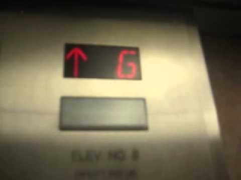 Otis Traction Elevators @ Madison City Hall