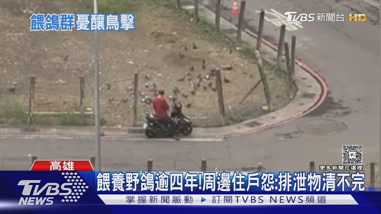 影音／飛安疑慮！　小港機場周邊餵野鴿釀聚集　民航法最低罰30萬